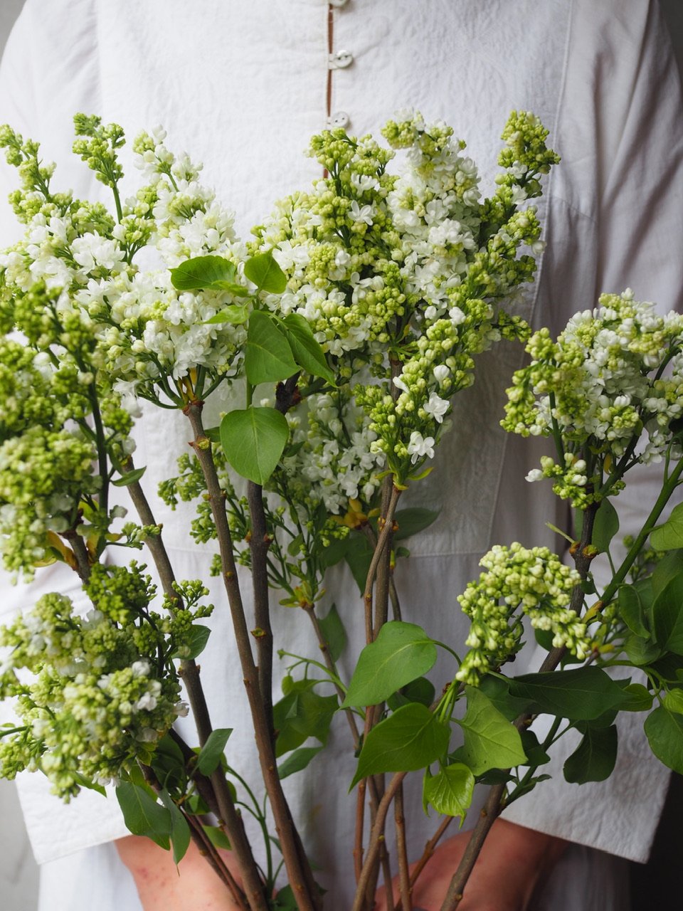 ライラック・ホワイト系 5本セット | Ours flower