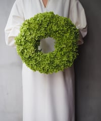 アナベルリース   Mサイズ　　　　　直径約30cm