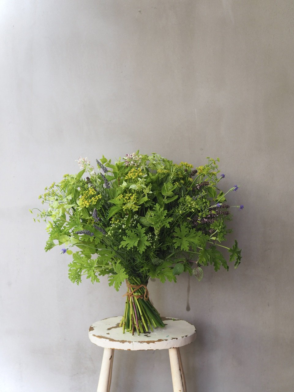 陶磁器製　ブーケ マグ Bouquet ブーケ | ストアおすすめ商品 | BISQUE/ビスクショップ