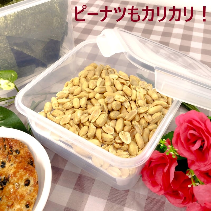 乾燥保存容器 TS-40 食品保存容器 保存容器 タッパ | 東明テックネット