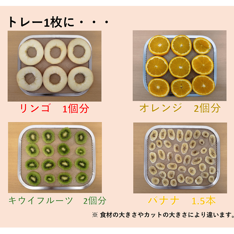 アウトレット プチマレンギmini TTM-270BL ブルー フードドライヤー