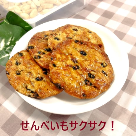 乾燥保存容器 TS-40 食品保存容器 保存容器 タッパ
