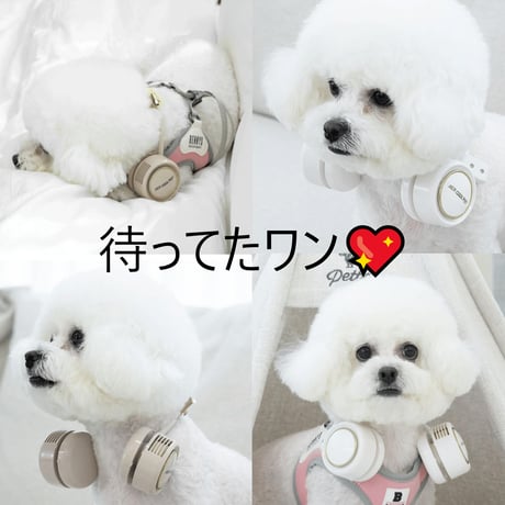 エアクールペット（ハーネス付き）小型犬用 わんちゃん 扇風機 犬 首 暑さ対策