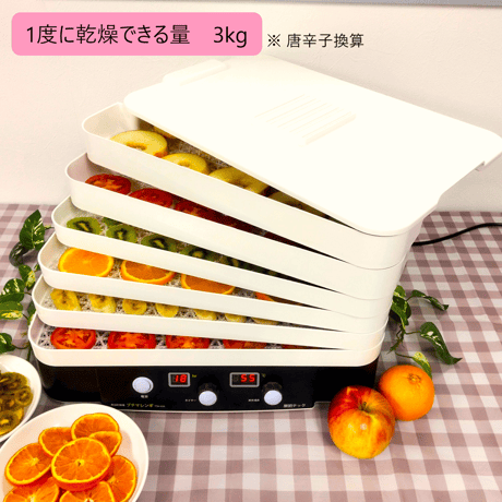 フードドライヤー プチマレンギ TTM-435S 食品乾燥機 ドライフード ドライフルーツ ビーフジャーキー