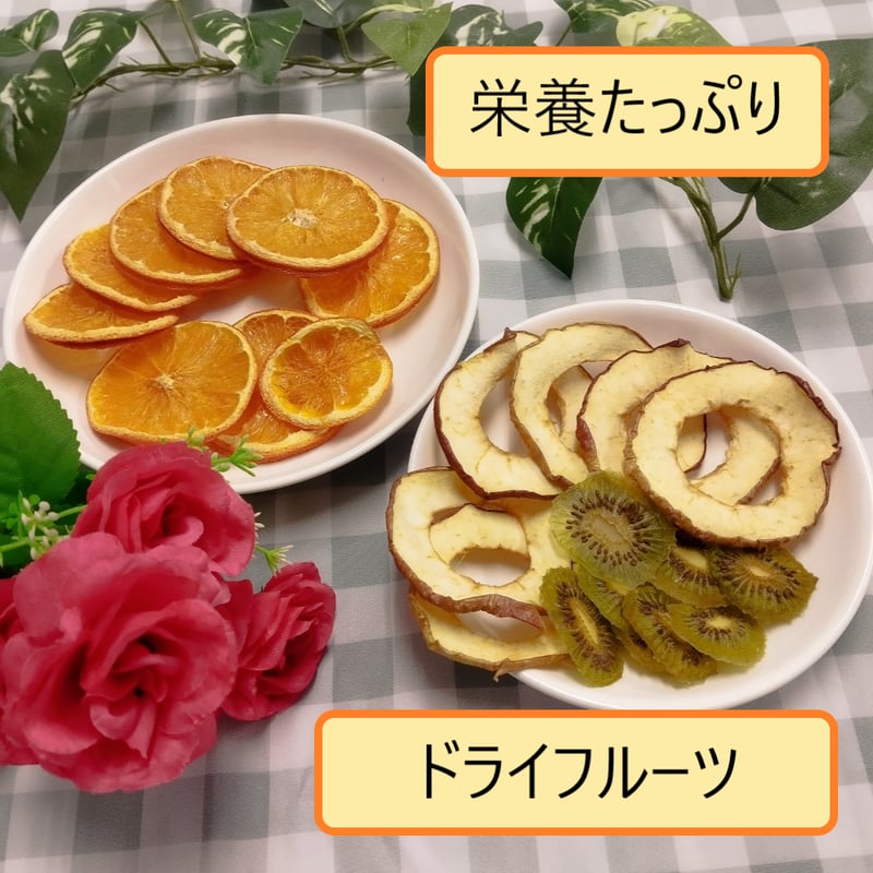 プチマレンギフードドライヤー 温度・時間調整可能 tohmei-tech_ttm-435s