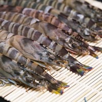 冷凍車海老Lサイズ 1,000g（加熱調理用：40～49尾入り） | 隼人の恵み