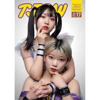 東京女子プロレス　パンフレット  vol.17