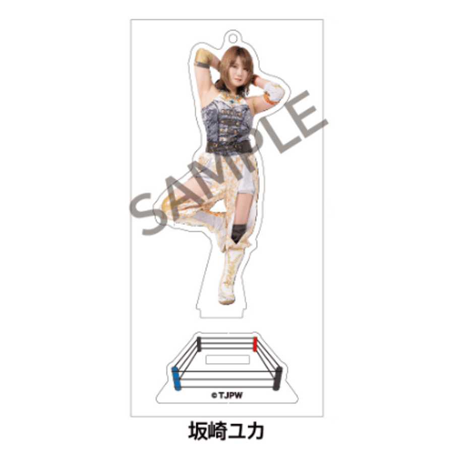 63806cc74ff8c209fb46df38