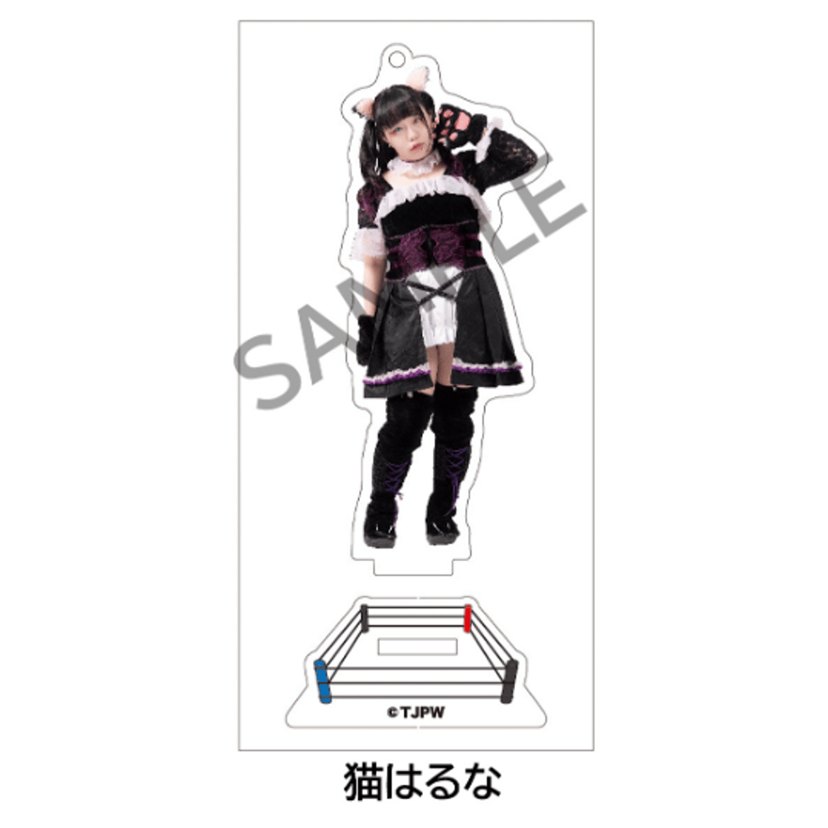 63806cc74ff8c209fb46df38
