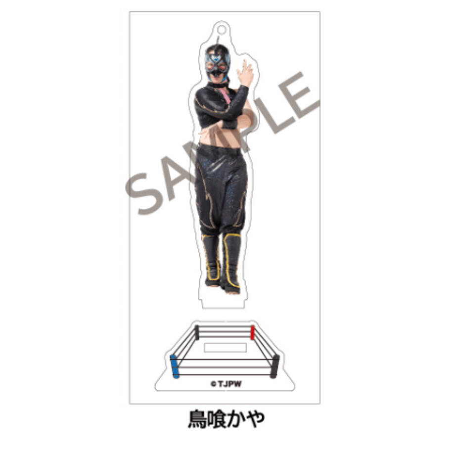 63806cc74ff8c209fb46df38