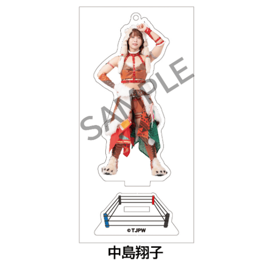 63806cc74ff8c209fb46df38