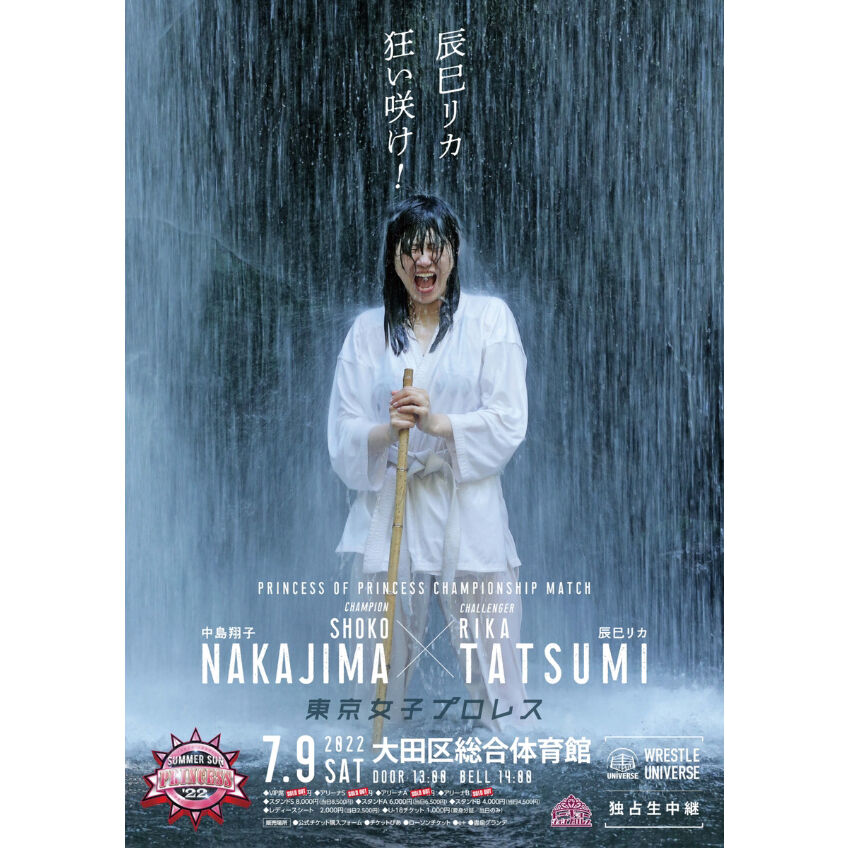 椎名林檎 / 勝訴ストリップ LP レコード 限定盤 椎名林檎/勝訴