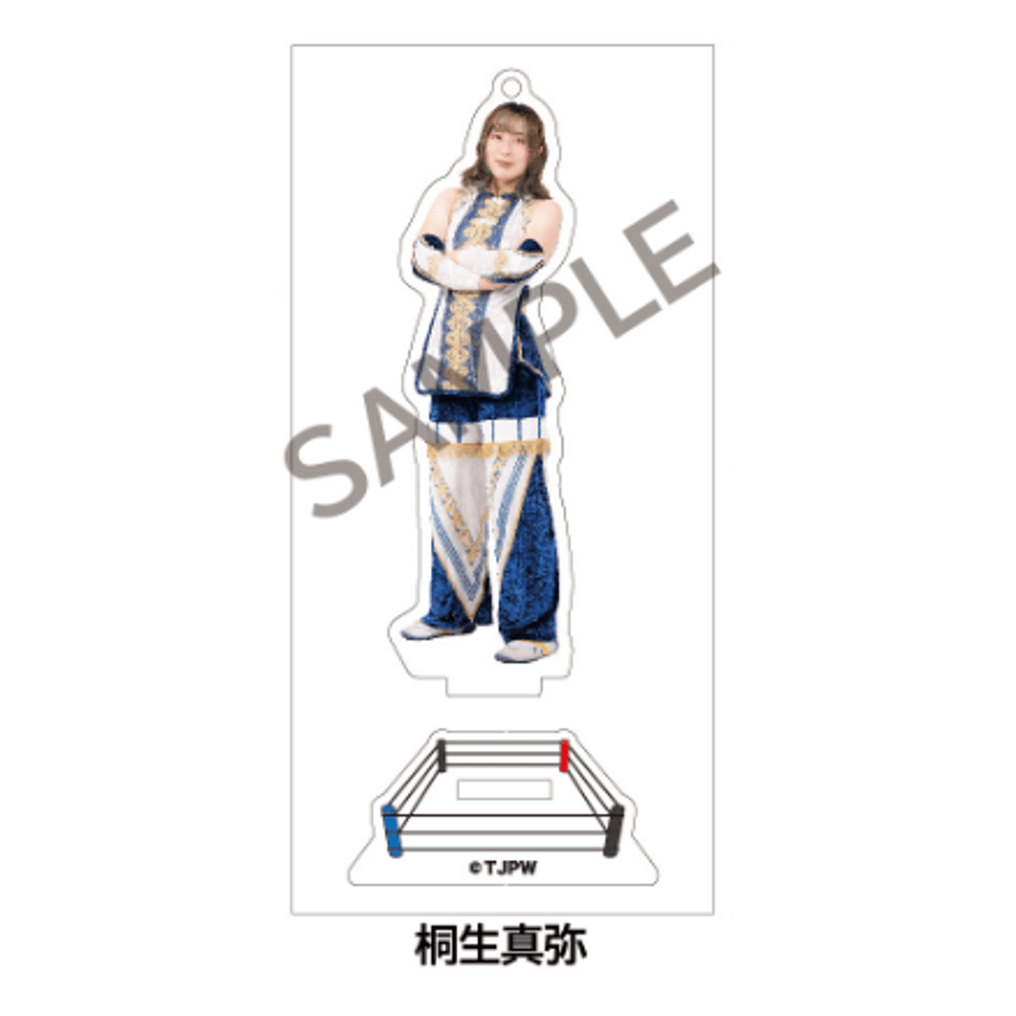 63806cc74ff8c209fb46df38