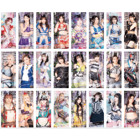 東京女子プロレス美威獅鬼軍メイサンアクスタ写真セット 商品一覧 | 東京女子プロレス ONLINE STORE
