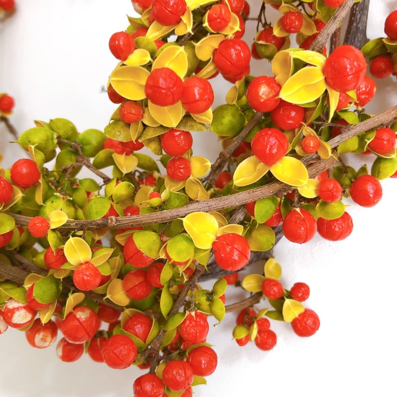 ツルウメモドキリース① | Botanical-style