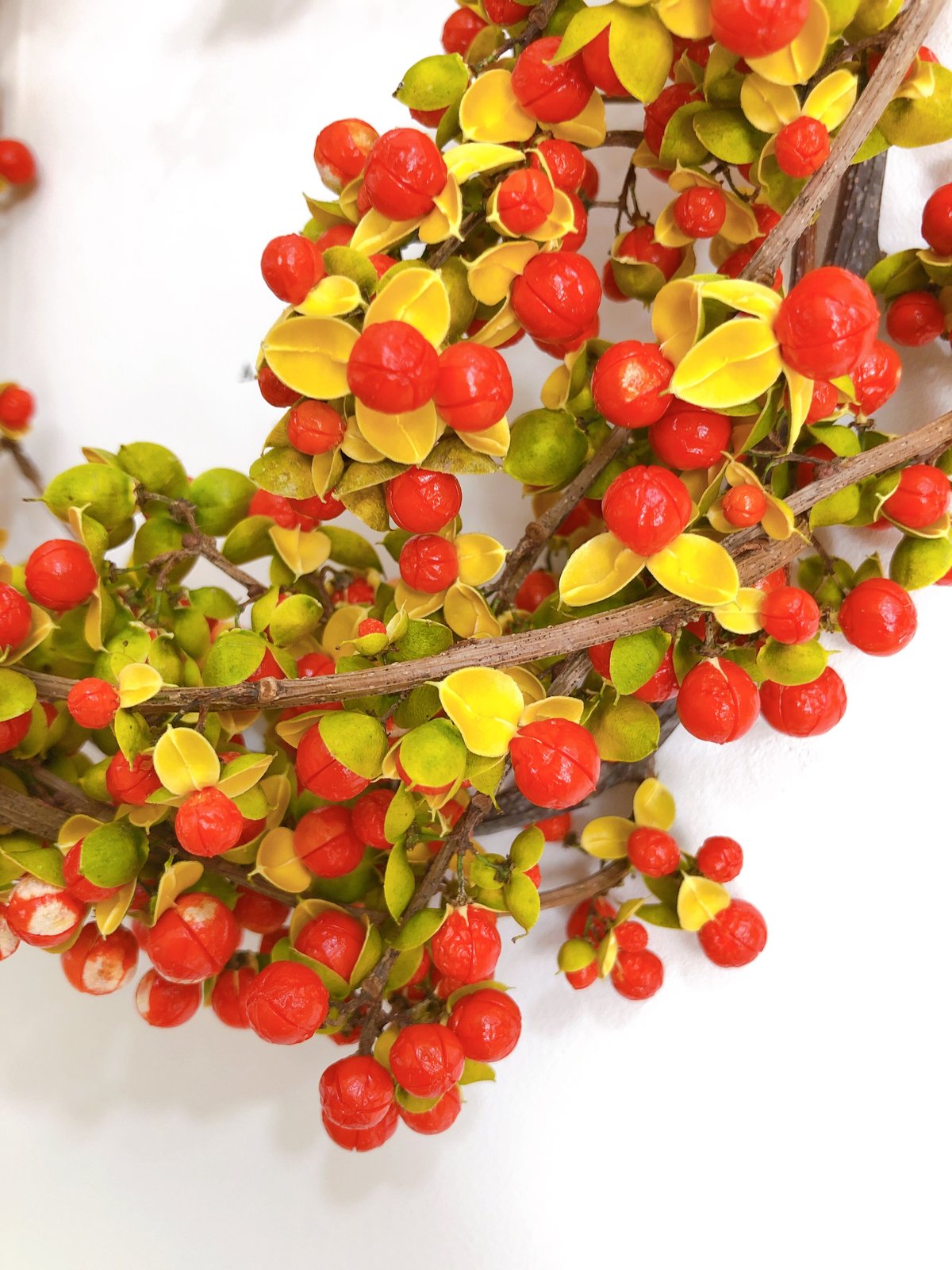 ツルウメモドキリース① | Botanical-style