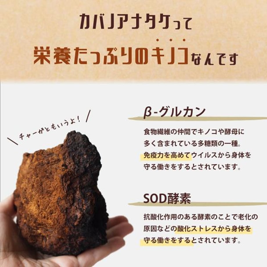 5f8ea8193a327e21cc769d11