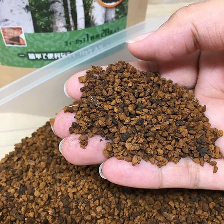 北海道産 カバタケ茶 ティーカップ用 ティーバッグ28包