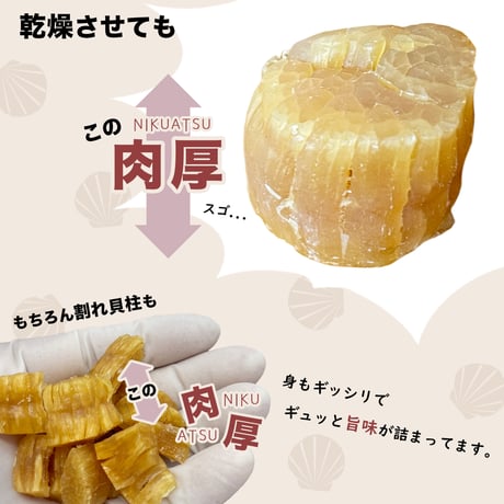 【新商品】 北海道産 ほたて貝柱 干し貝柱 500g レシピ付き 乾燥 干し 貝柱 ほたて 割れ 珍味 業務用 お酒のあて おつまみ おやつ オホーツク海