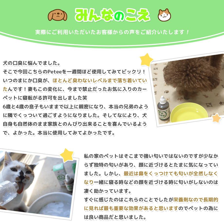 610caa85e50c0b1203b84755
