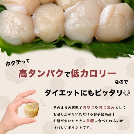 【新商品】 北海道産 ほたて貝柱 干し貝柱 50g レシピ付き 乾燥 干し 貝柱 ほたて 割れ 珍味 業務用 お酒のあて おつまみ おやつ オホーツク海