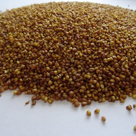北海道産 韃靼そば茶 500g 栽培期間中 農薬不使用