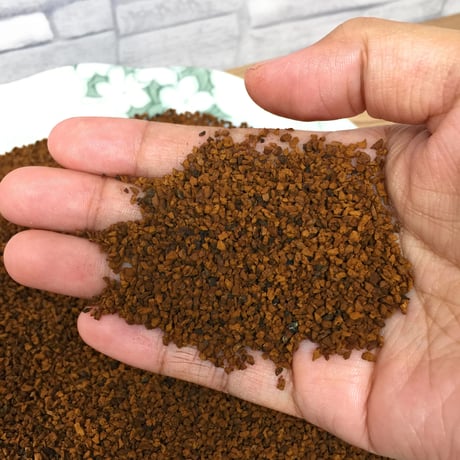 【新・定期便】10％OFF　北海道産 カバタケ茶 50g入り粒形1.5～2㎜ ティーバッグ付き No.2210