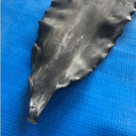 北海道 知床 羅臼根昆布 180g 昆布水 昆布だし 用