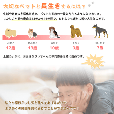 Petee ペッティー 北海道産カバノアナタケ濃縮エキス（ペット用） 50ml