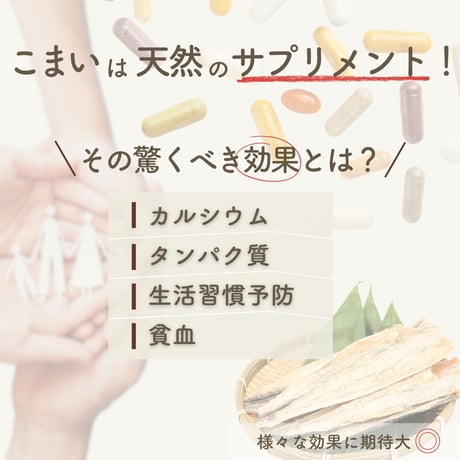 【新商品】 こまい コマイ 開き 北海道産 200g 氷下魚 国産 珍味 お酒のあて おつまみ おやつ