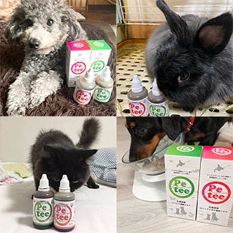 Petee ペッティー 北海道産カバノアナタケ濃縮エキス（ペット用） 50ml