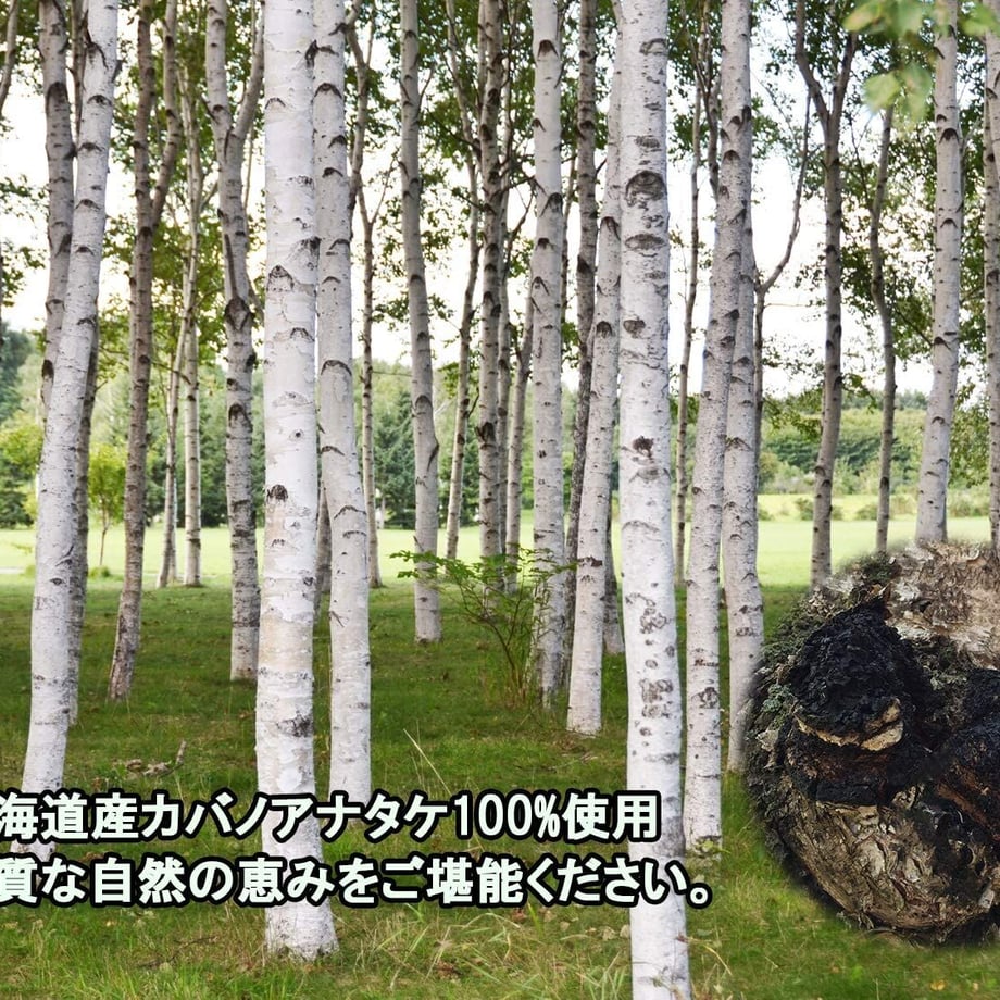 5f8ea8853a327e21cc769d16