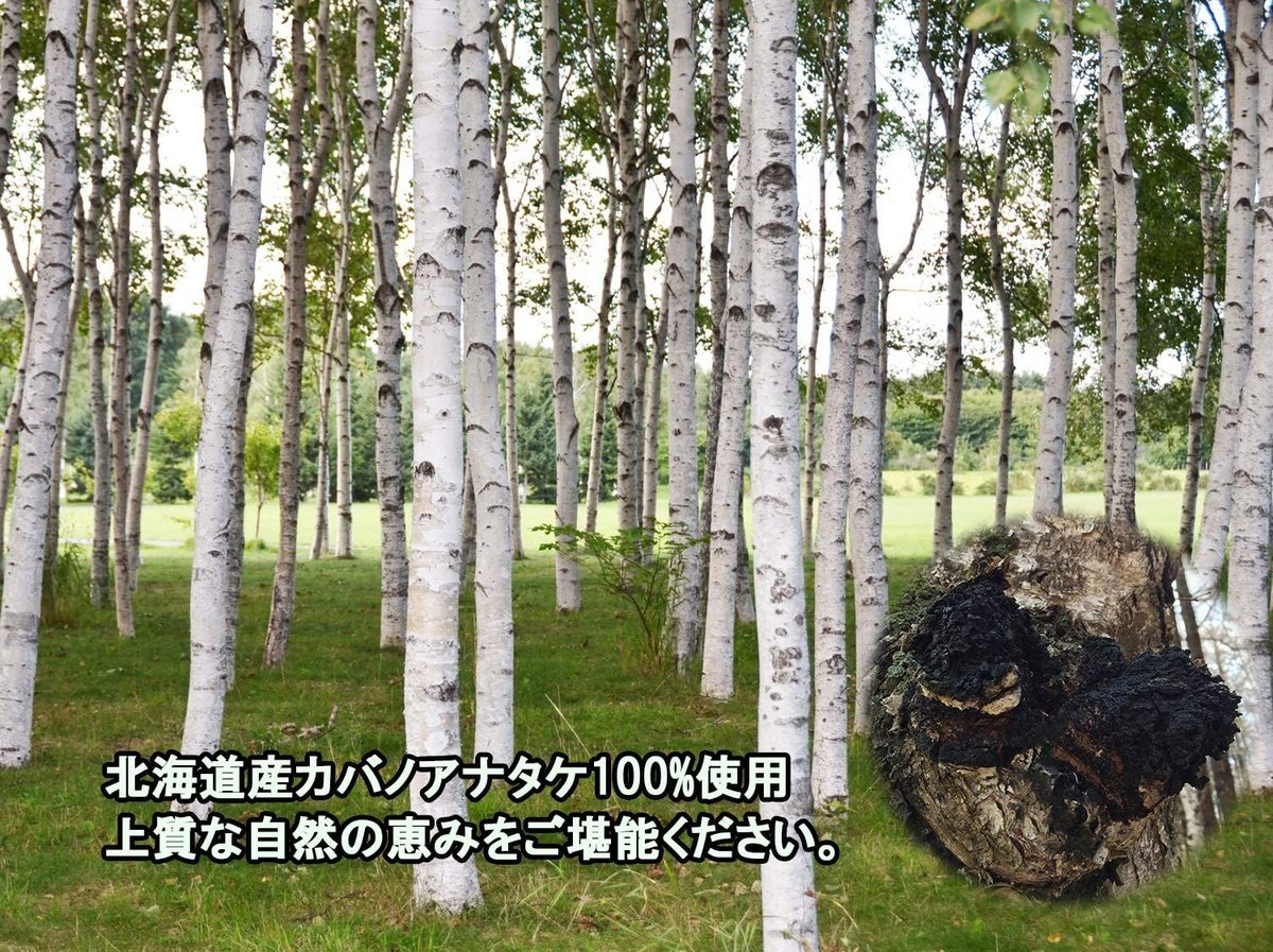 北海道産 カバタケ茶 100g入り粒形1.5～2㎜ ティーバッグ付き | えぞ