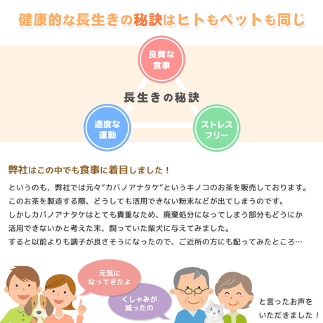 Petee ペッティー 北海道産カバノアナタケ濃縮エキス（ペット用） 50ml