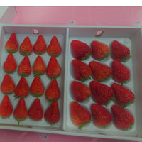 島いちごセット