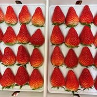 沖美いちご化粧箱