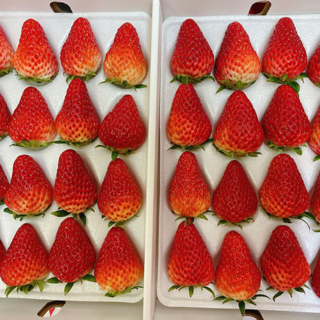 沖美いちご化粧箱