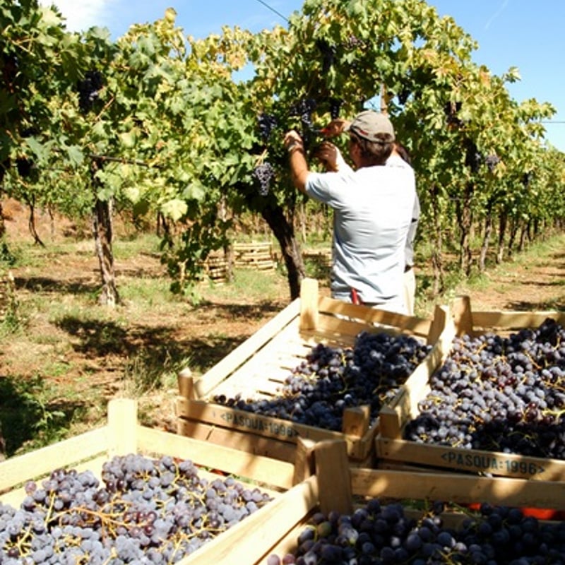 クシャノさん専用 日野 デュトロ ラジエーター XZC675T 16400-78891 ブラケット再利用