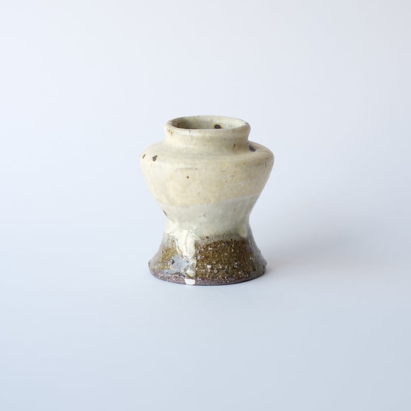 花の化石 新生代の植物化石Ⅰ.html