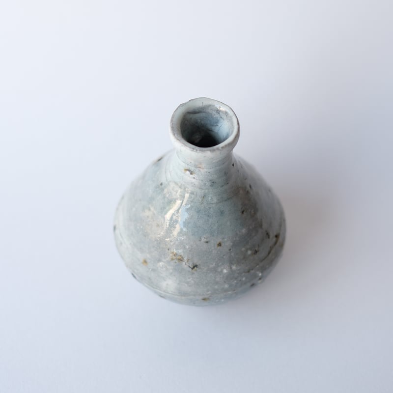 花の化石 新生代の植物化石Ⅰ.html