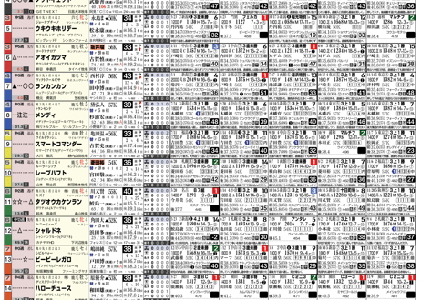 12/12(日) 　村山弘樹のタブレット競馬新聞 (中山・中京・阪神)