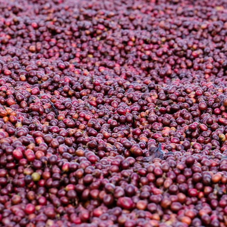 CHINA / Yunnan 250g