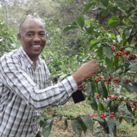 ETHIOPIA / Shakiso (decafe) 250g