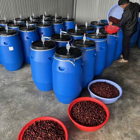 VIETNUM / Langbiang coffee project 250g