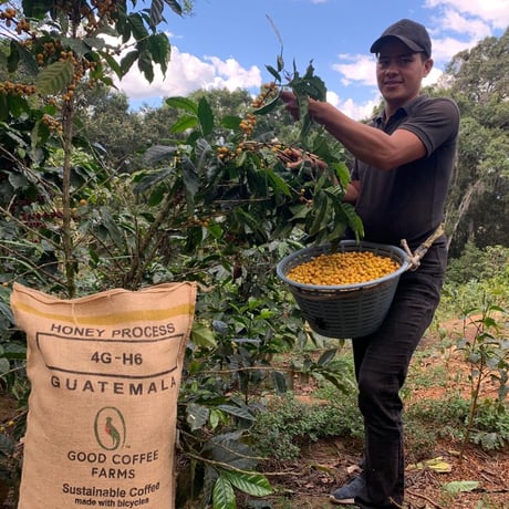 Guatemala / Naranjales 250g
