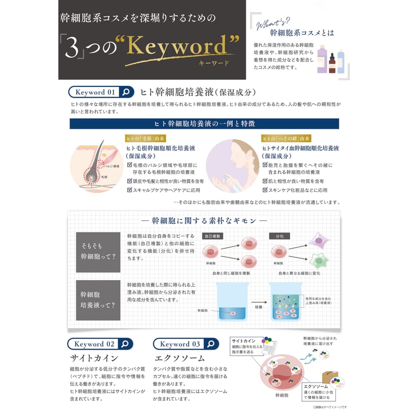 R-21 ボタニエンス スキャルプサプリPRO EX 370ml（詰替） | anemo shop 