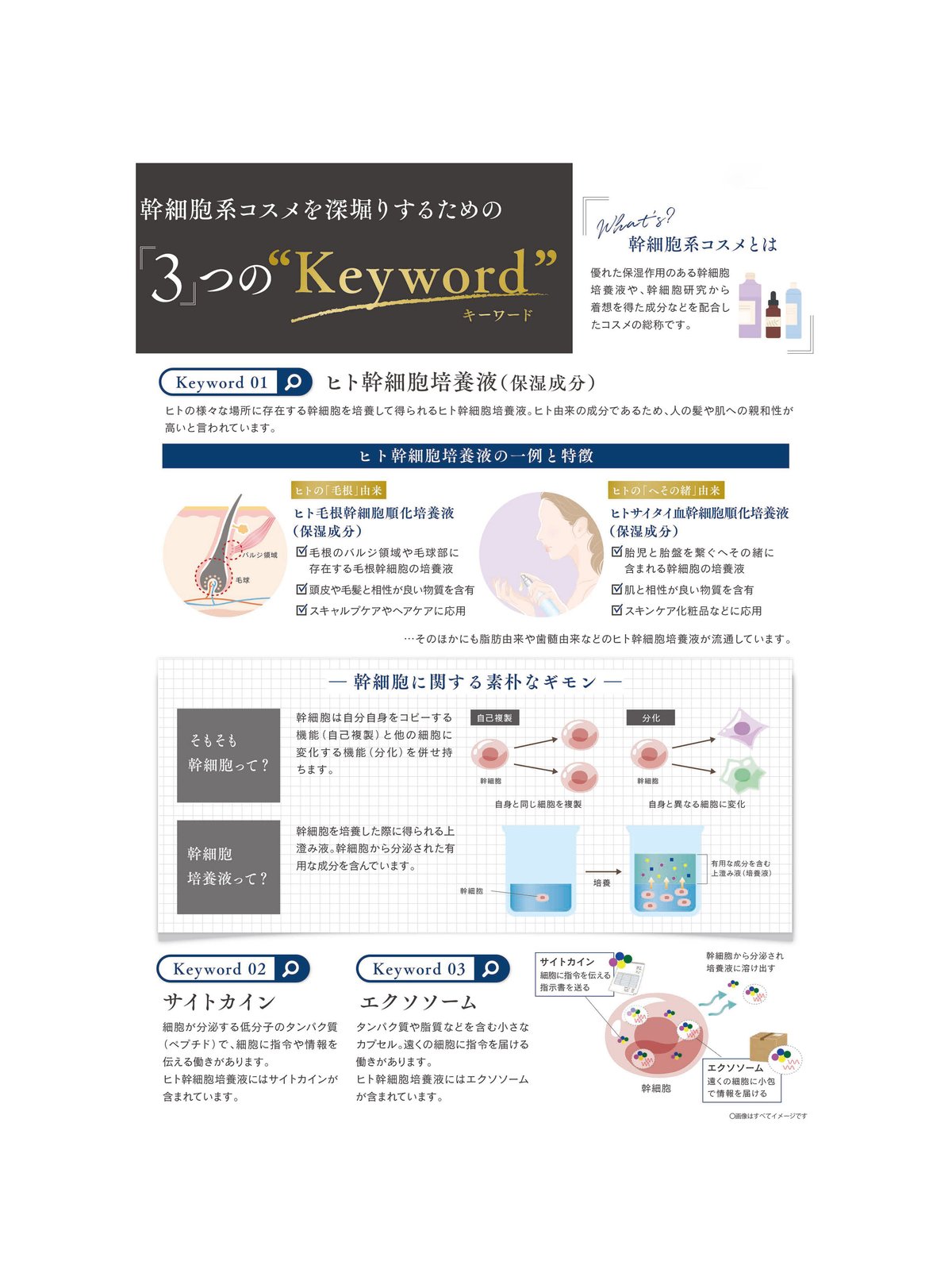 NEW R-21 ボタニエンス スキャルプサプリPRO EX 370ml（詰替） | anem