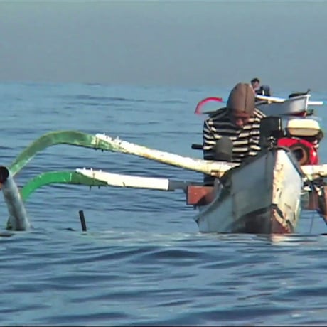 DVD "Asia's Oceans(1) Poison and Bombs"