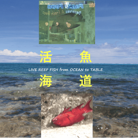 DVD "Asia's Oceans(1) Poison and Bombs"