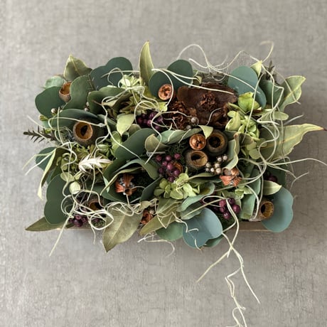 STORES ドライフラワーの検索結果